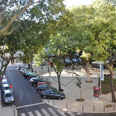 Constantino Garden *